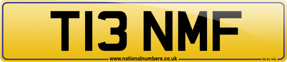 T13 NMF