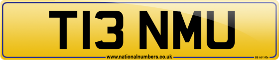 T13 NMU