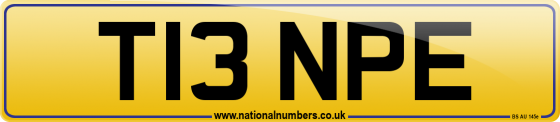 T13 NPE