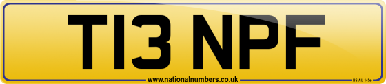 T13 NPF