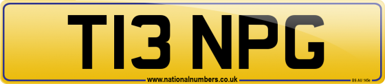 T13 NPG