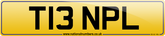 T13 NPL
