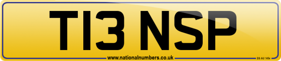 T13 NSP