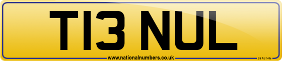 T13 NUL