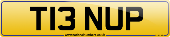 T13 NUP