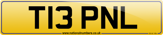 T13 PNL