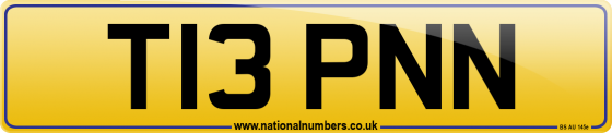 T13 PNN