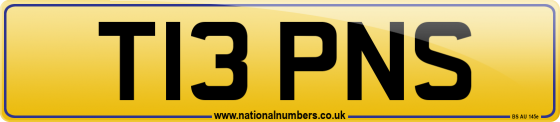 T13 PNS