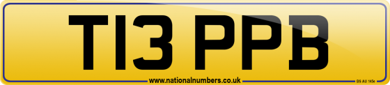 T13 PPB