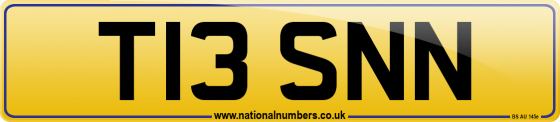 T13 SNN