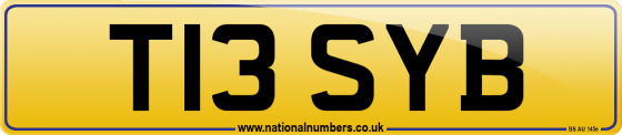 T13 SYB