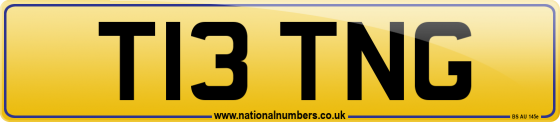 T13 TNG