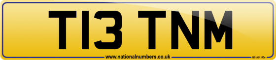 T13 TNM