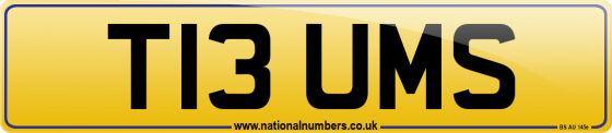 T13 UMS