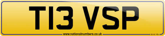 T13 VSP
