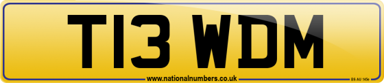 T13 WDM