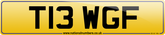 T13 WGF