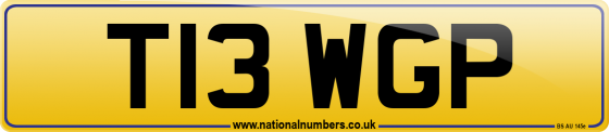 T13 WGP