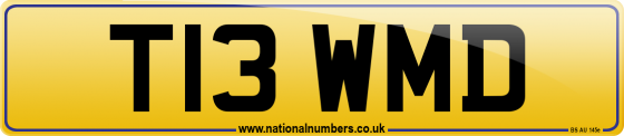 T13 WMD