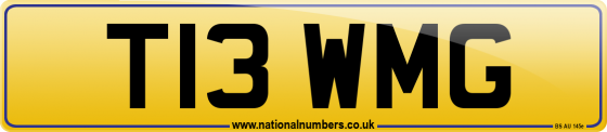 T13 WMG