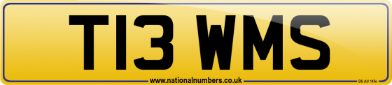 T13 WMS