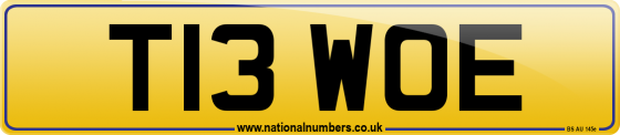 T13 WOE