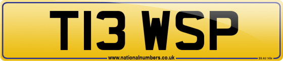 T13 WSP