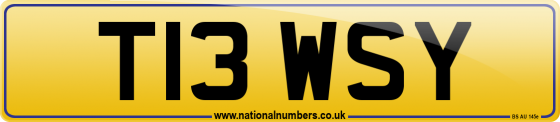 T13 WSY