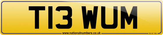 T13 WUM