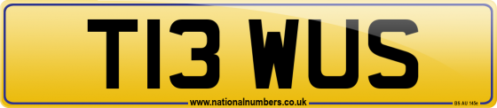 T13 WUS