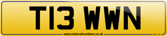 T13 WWN