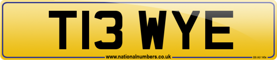 T13 WYE