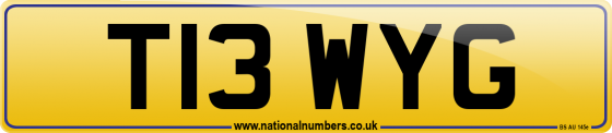 T13 WYG