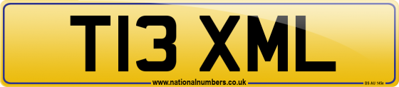 T13 XML