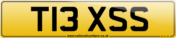 T13 XSS