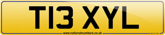 T13 XYL