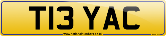 T13 YAC