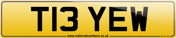 T13 YEW