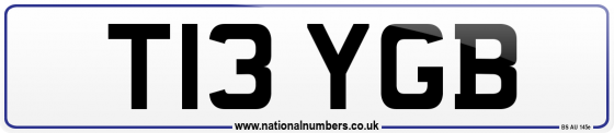 T13 YGB