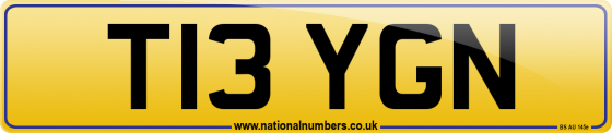 T13 YGN