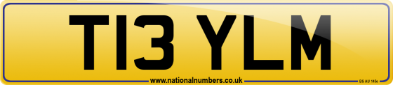 T13 YLM