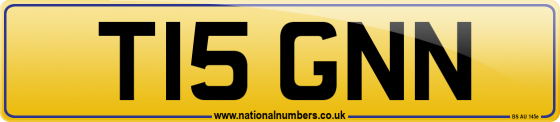T15 GNN