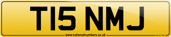 T15 NMJ