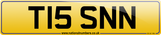 T15 SNN