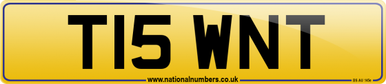 T15 WNT