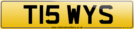 T15 WYS