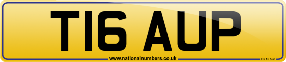 T16 AUP