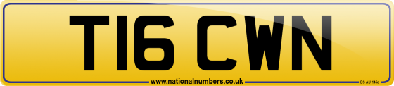 T16 CWN