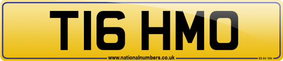 T16 HMO