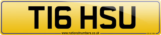 T16 HSU